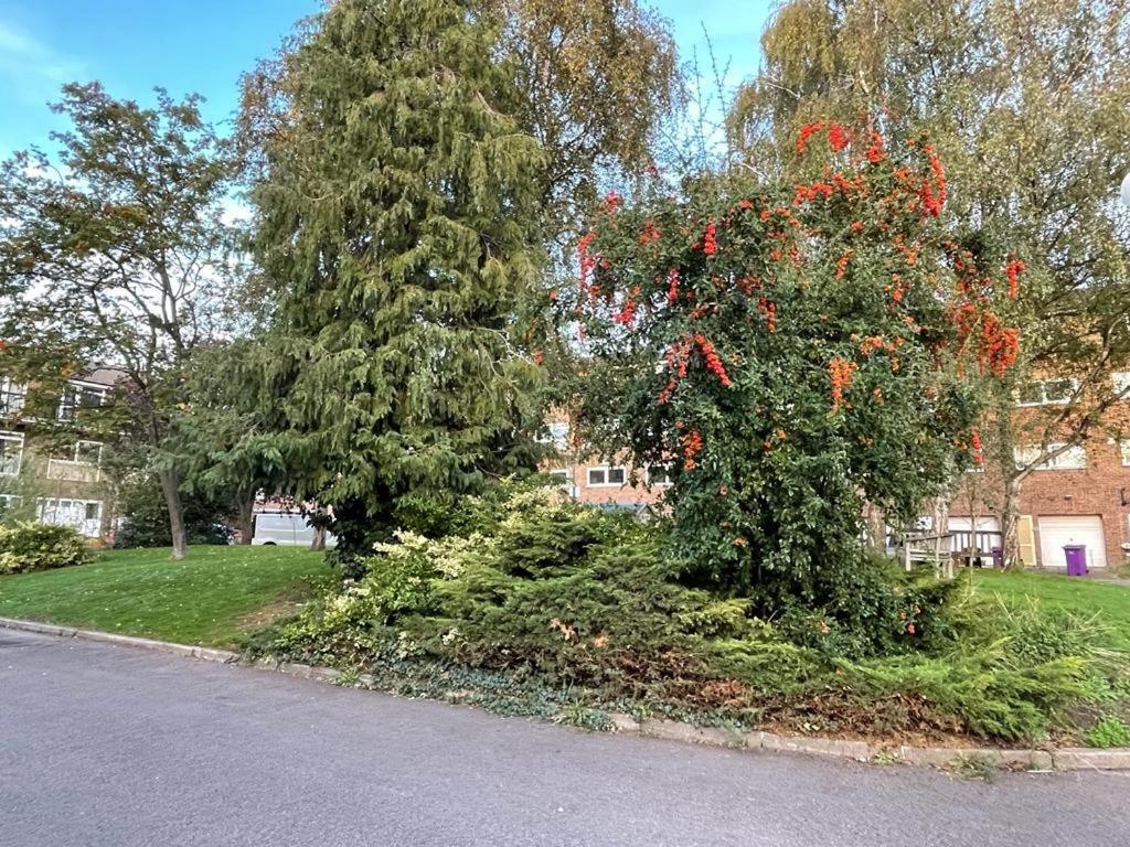 Spacious Double Bedroom With Private Bathroom Ensuite In Canary Wharf E14, Only 1 Stop To Excel And O2 For Short Or Long Let In Canary Wharf, Less Than An Hour From Heathrow, Stansted And Gatwick Airport Guest house *